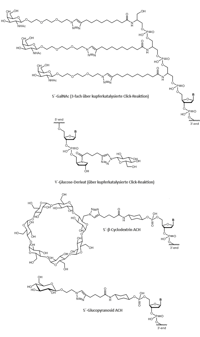 Kohlenhydrat-Oligonucleotid-Konjugate
