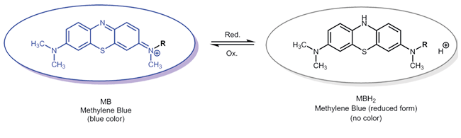 terminal methylene