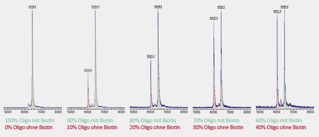 Vergleich zweier Oligos mit und ohne Biotin