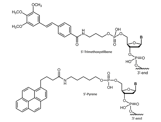 5´-Trimethoxystilben, 5´-Pyrene