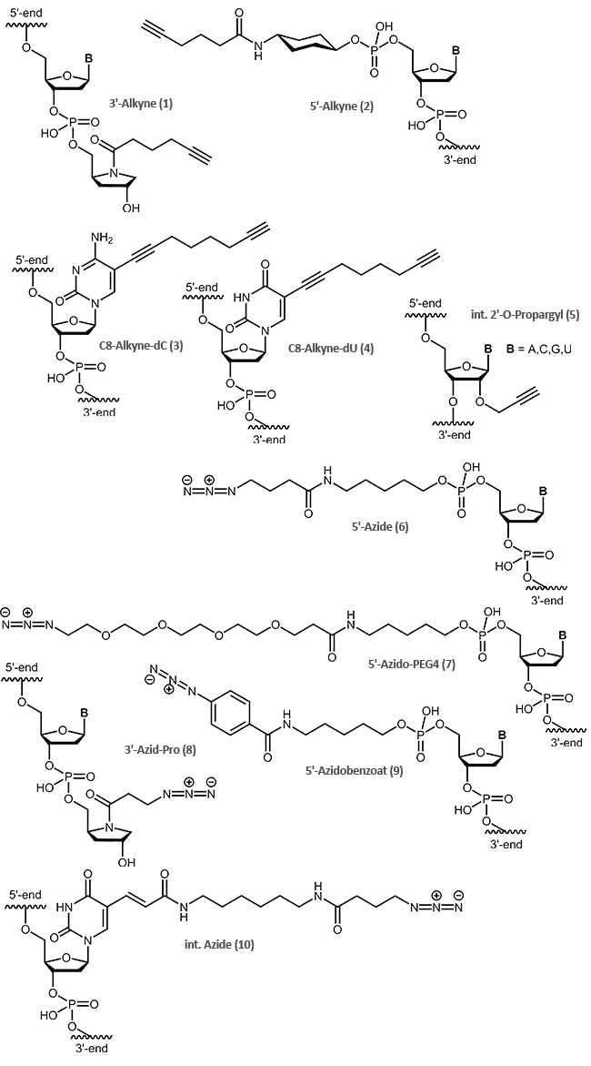 biomers.net | Click Chemistry - biomers.net Oligonucleotides