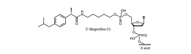antisense oligonucleotides and aptamers with ibuprofen at 5´- or 3´-end of oligonucleotides