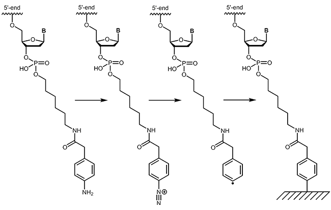 Immobilisation of oligonucleotides on surfaces via 4-CMA