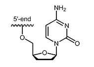 di-desoxy-Nucleotide 3´-ddC